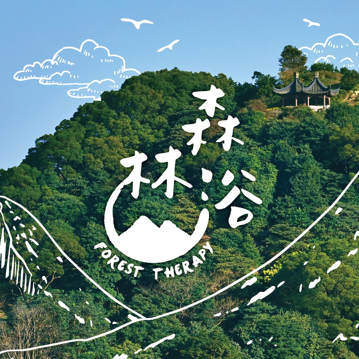 森林浴 | 一趟療癒旅程 2025